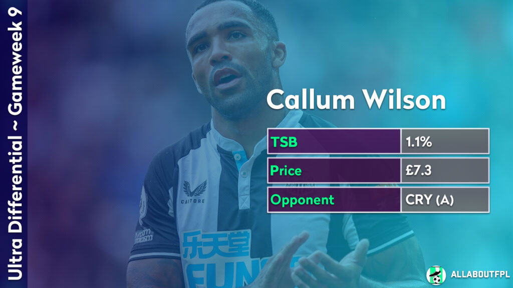FPL GW9 Differential Picks- Callum Wilson
