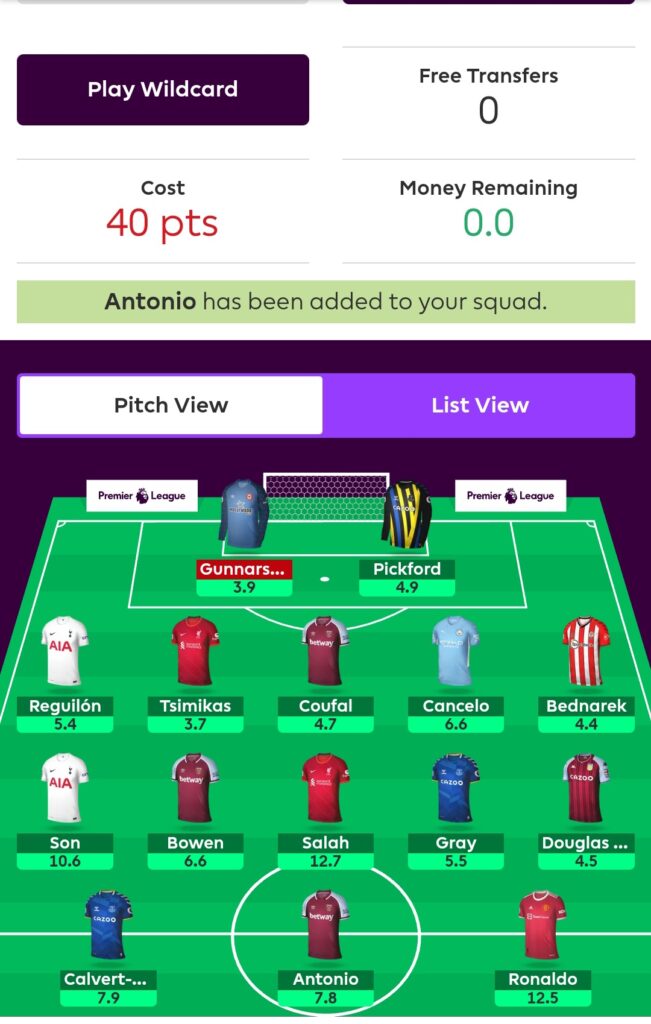 FPL GW21 Free Hit