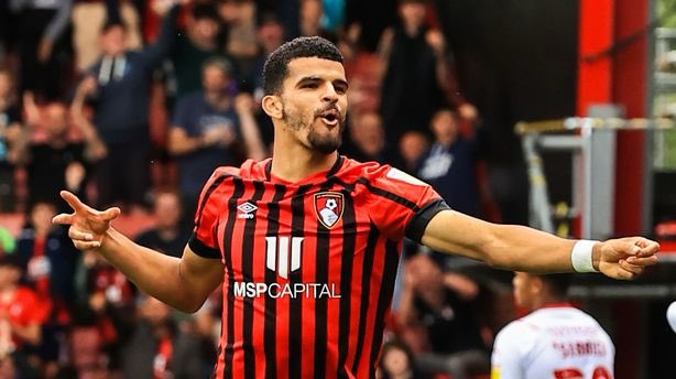 Best FPL Picks Outside Top 6 Teams to consider for 2022/23 season- Solanke