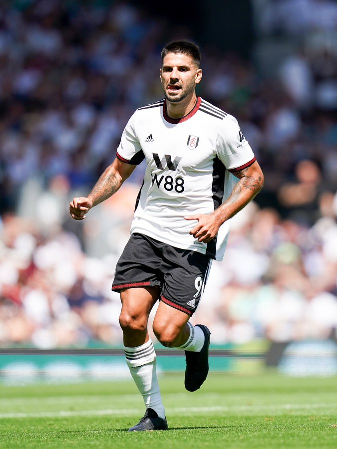 FPL GW7 Preview ~ Mitrovic differential punt