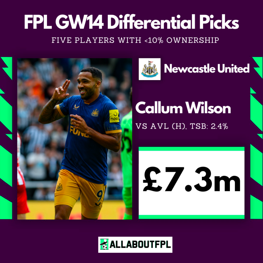 FPL GW14 Differential ~ Callum Wilson