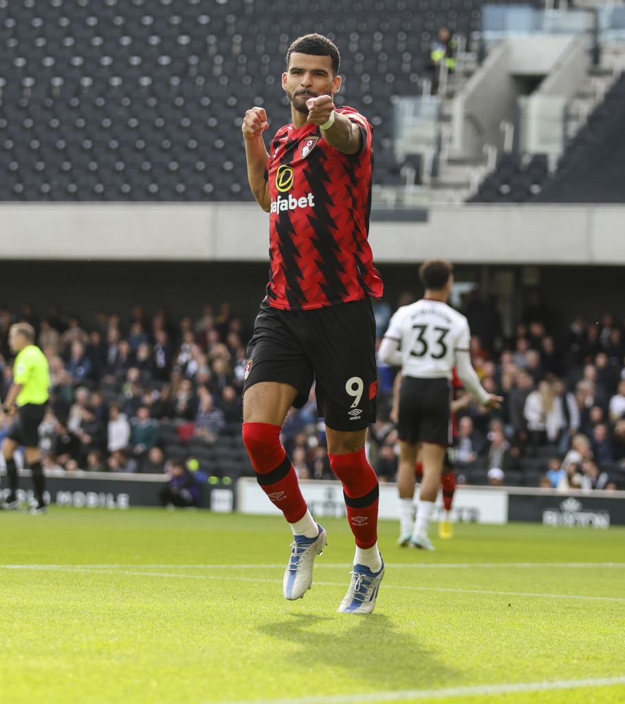 FPL GW12 Differential Picks- Solanke