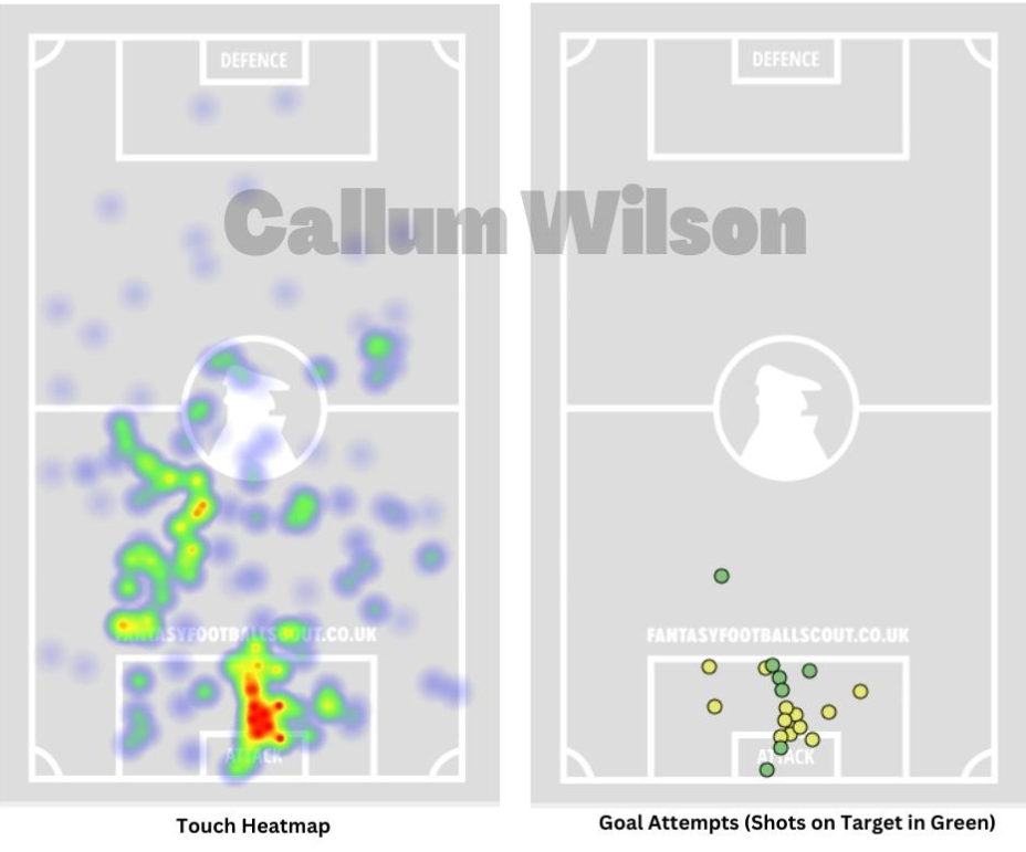 Callum Wilson Heatmap