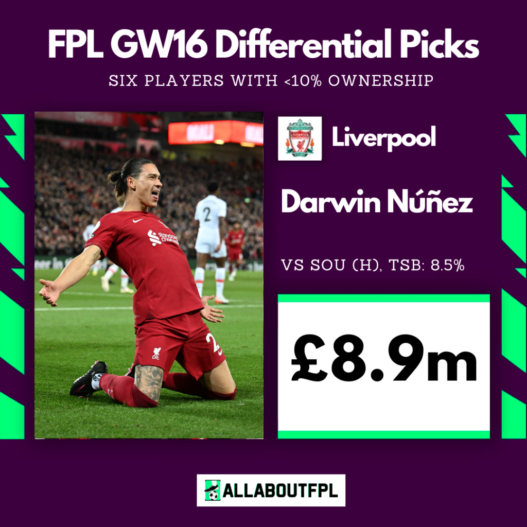 FPL Gameweek 16 Differential Picks(<10% TSB) ~ Darwin Nunez vs Southampton(H)