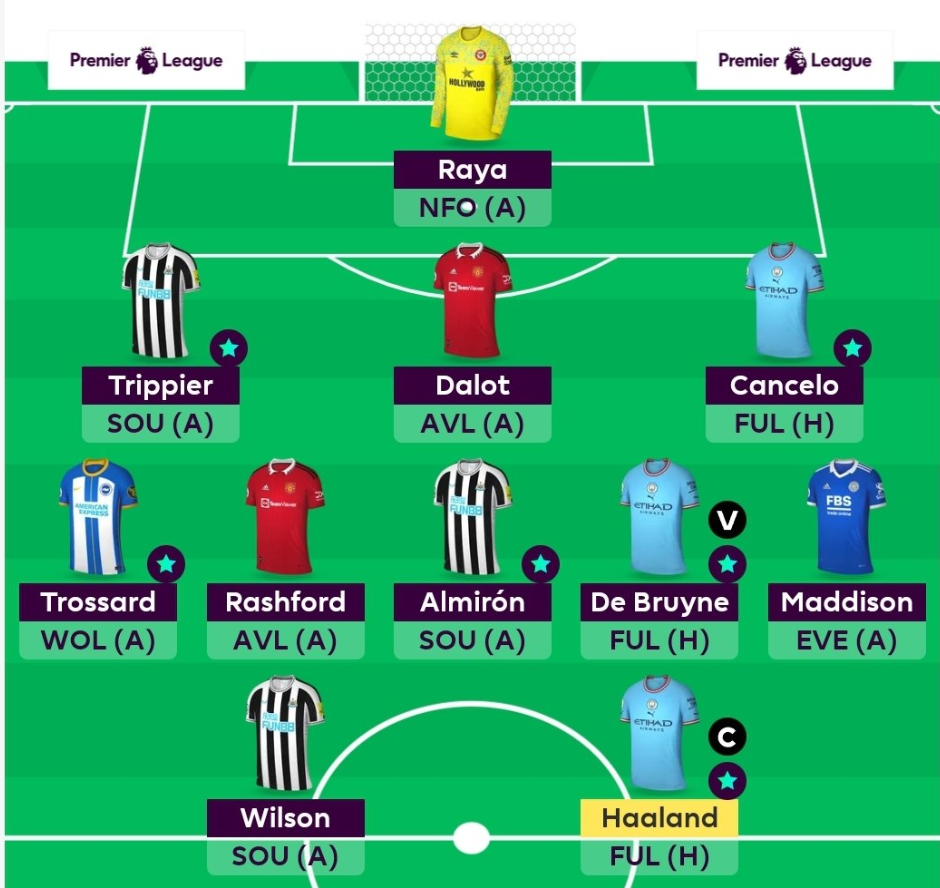 Full FPL GW15 Scout Picks Team