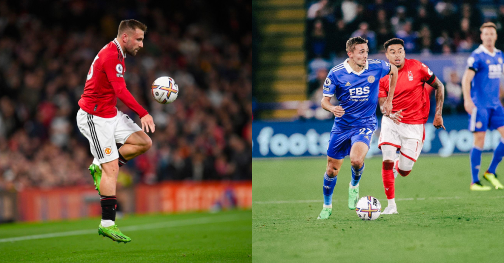 Best FPL Budget Defender Rotation from FPL GW17 ~ castagne and Shaw