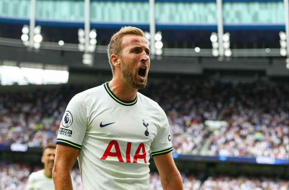 FPL GW17 Forwards-Harry Kane