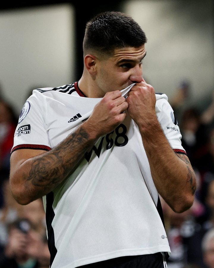 Best Upside FPL Picks from FPL GW17 ~ Mitrovic