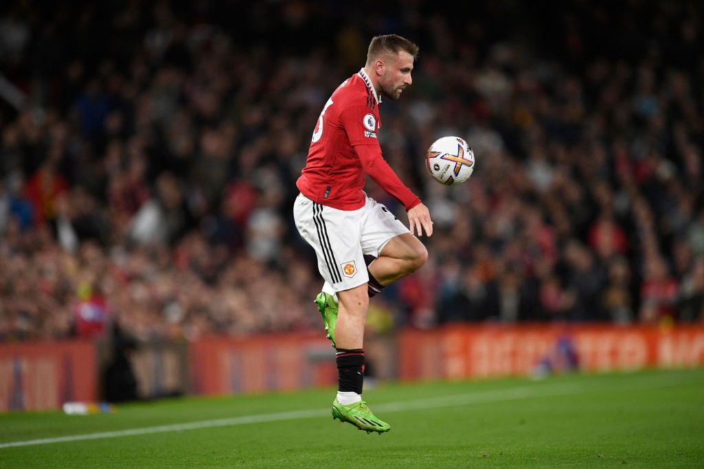 FPL Gameweek 17 Differential Picks(<10% TSB) ~ Luke Shaw