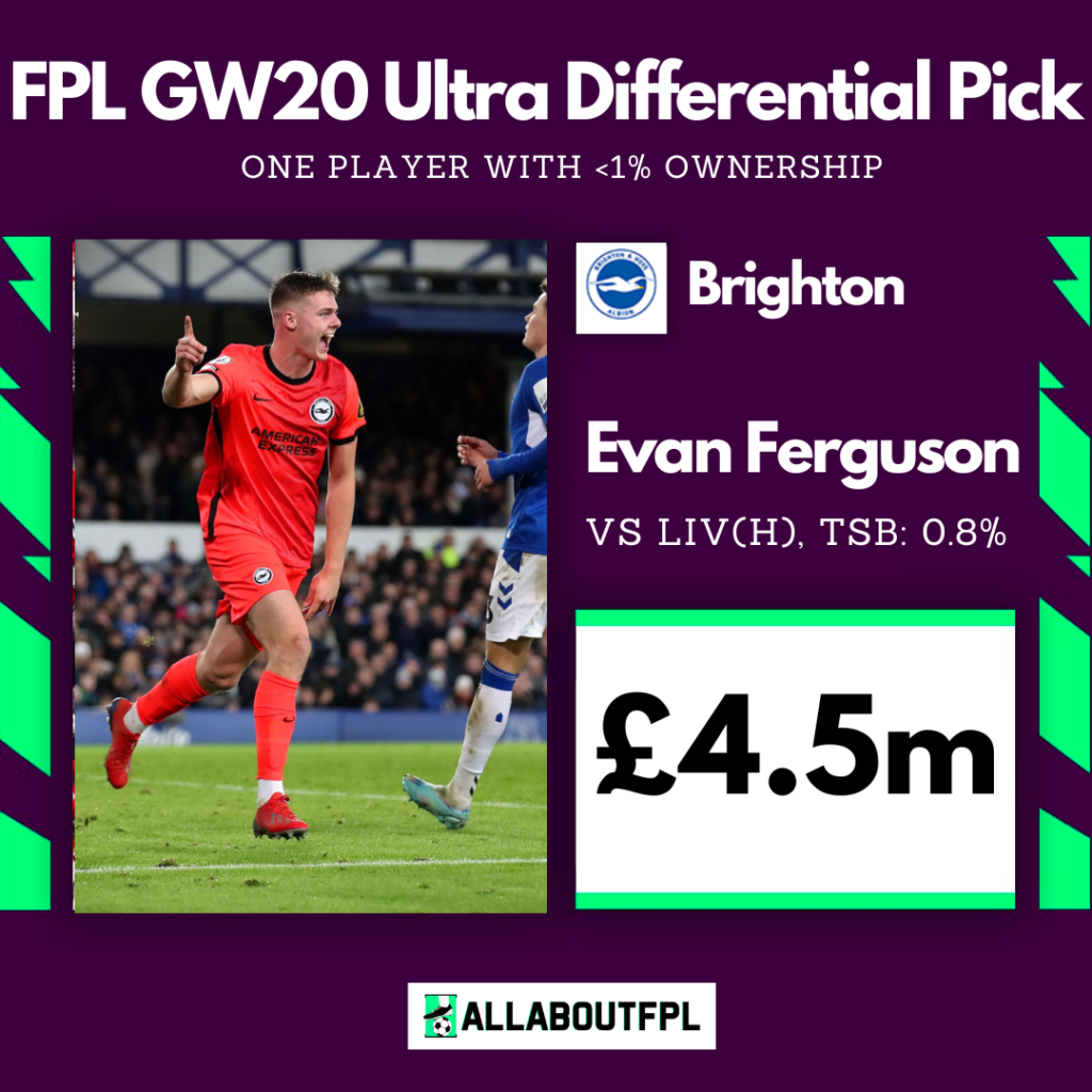 FPL GW20 Differential Picks- Ferguson