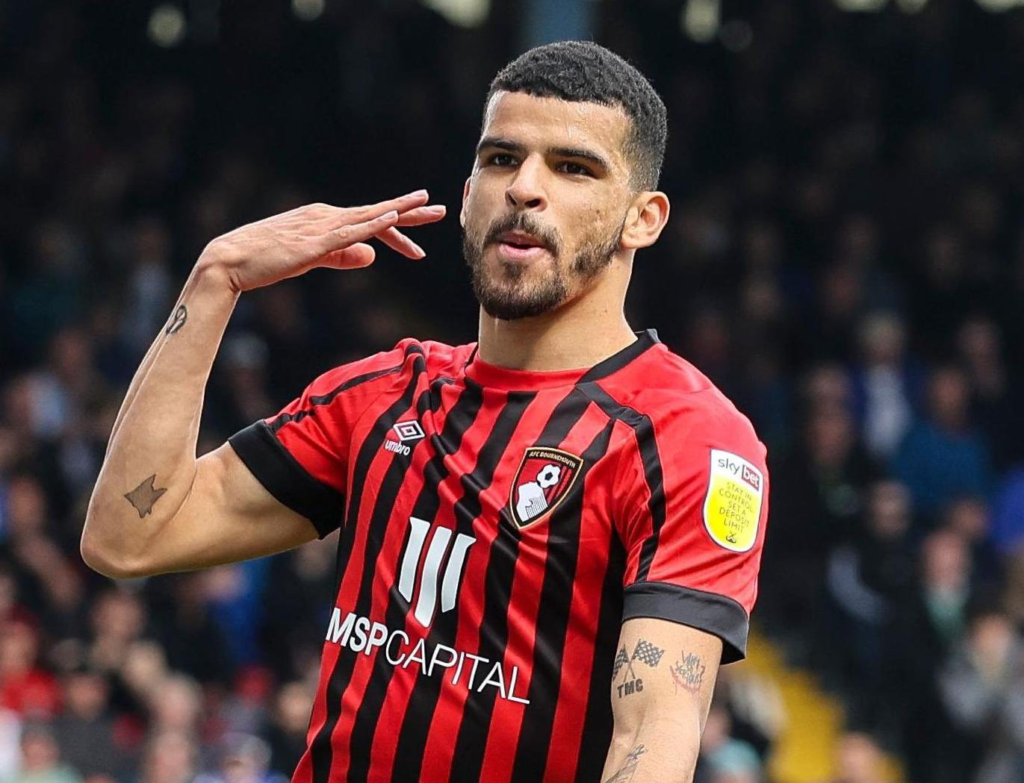 FPL GW30 Differential Picks- Solanke