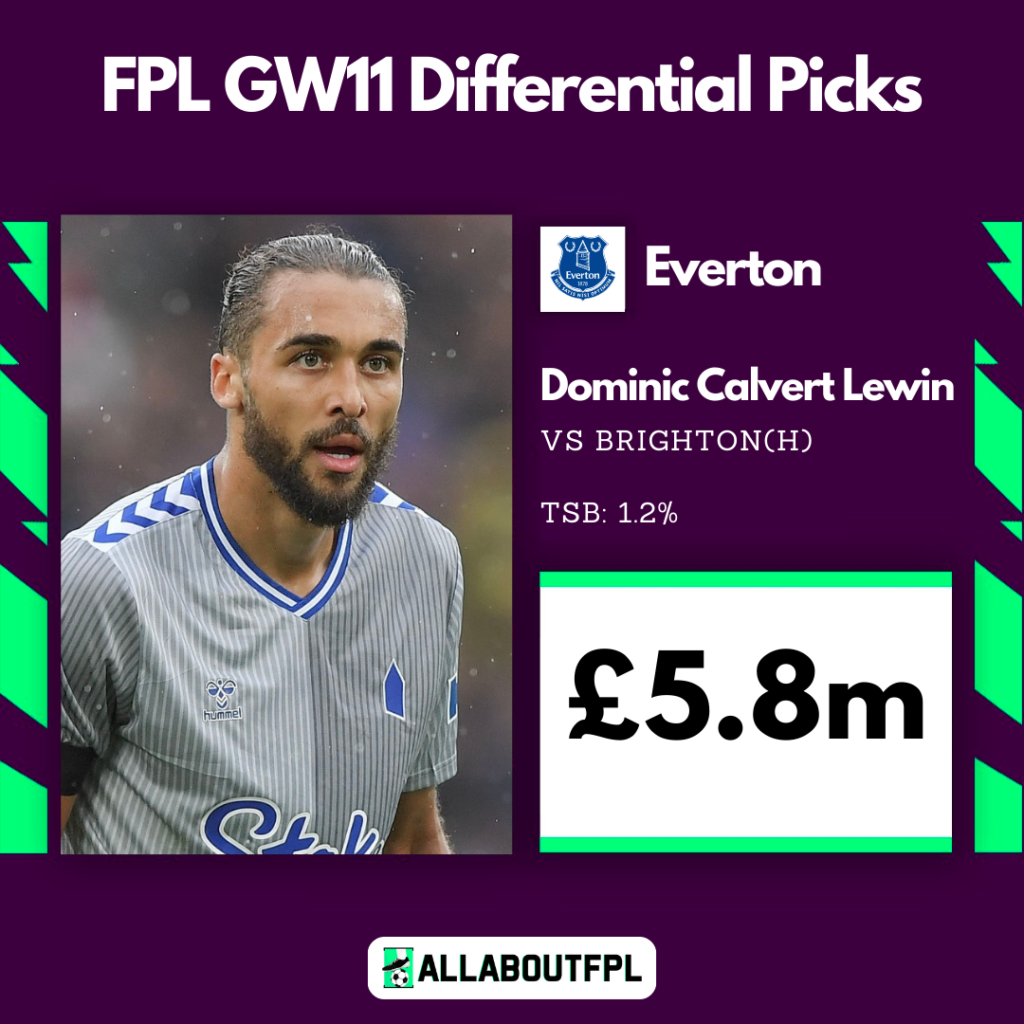 Top FPL GW11 Differential Picks ~ Dominic Calvert-Lewin
