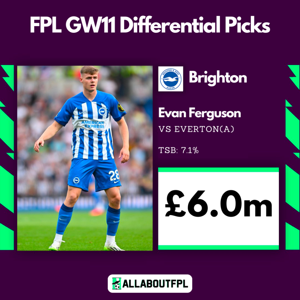 Top FPL GW11 Differential Picks ~ Evan Ferguson 