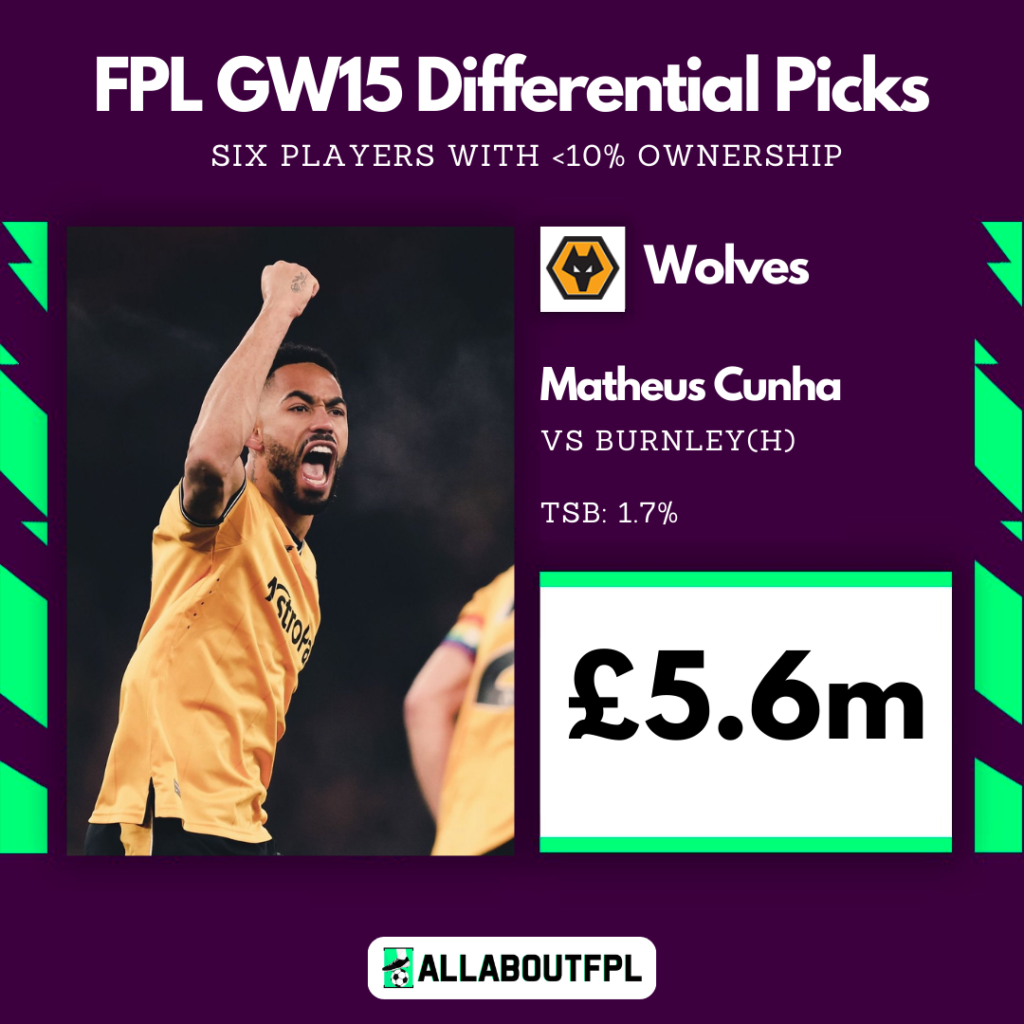 FPL GW15 Differential Picks  ~ Cunha