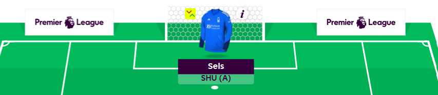 FPL GW36 Scout Picks - Goalkeeper