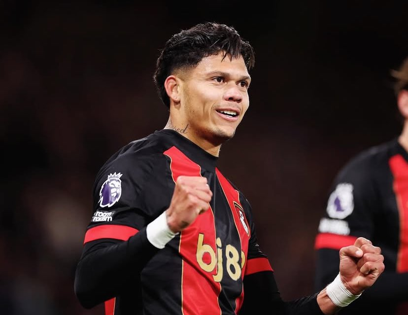 FPL GW16 Differential Picks- Evanilson