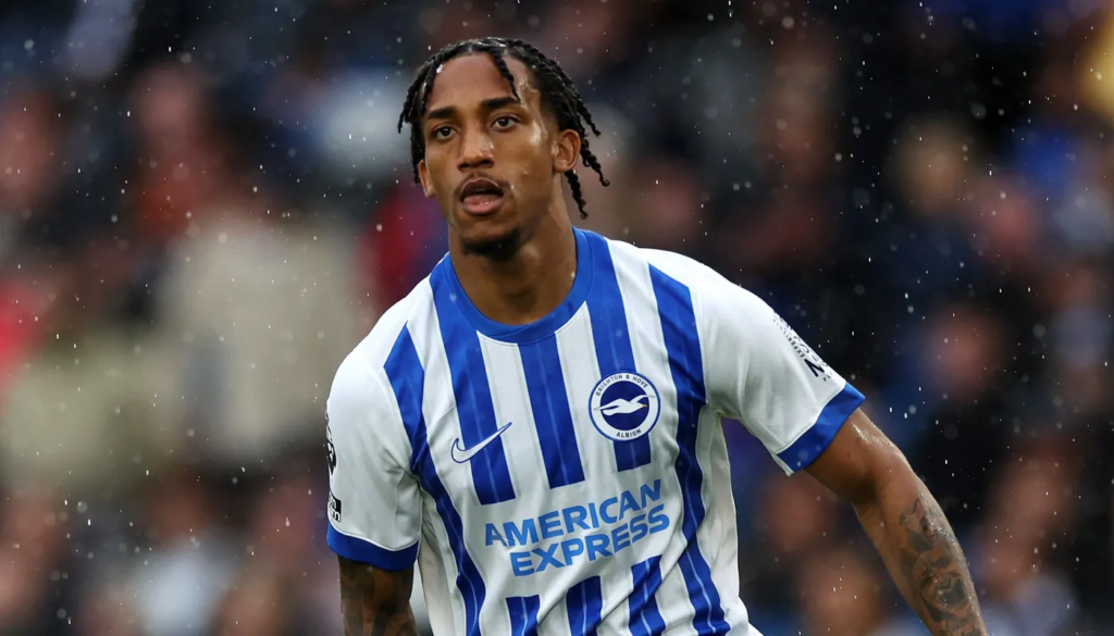 Pedro Brighton FPL GW14 Scout Picks