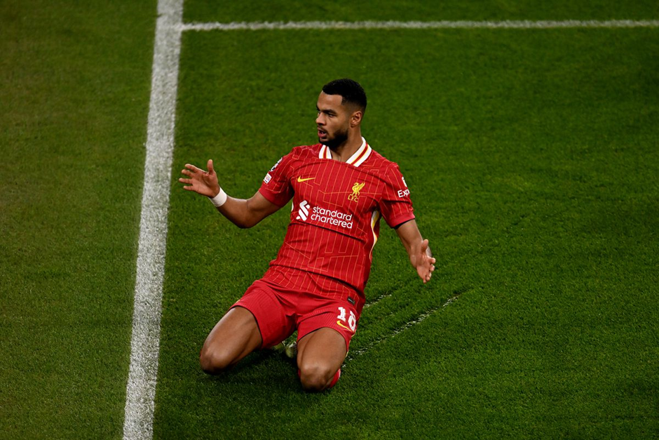 FPL GW23 Differential Picks- Gakpo