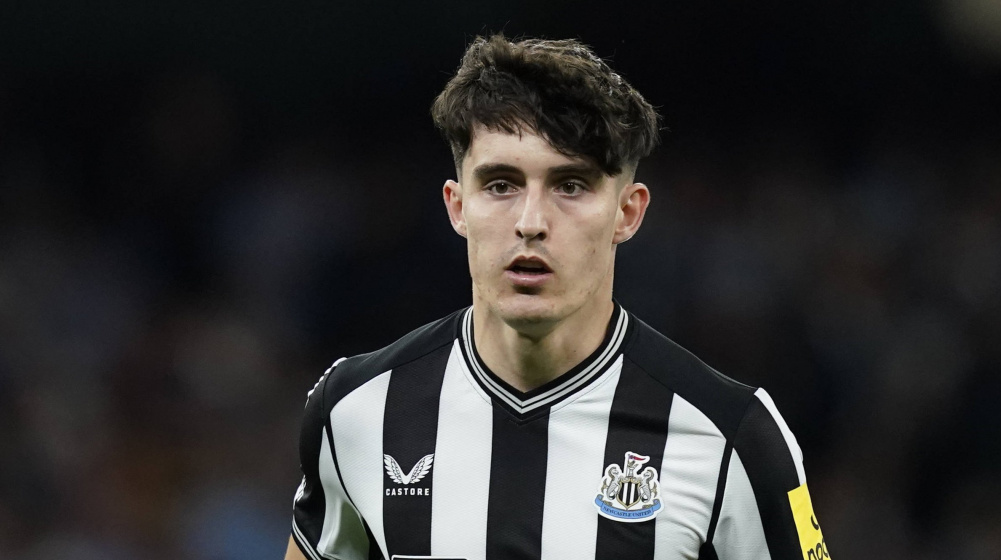 Livramento Newcastle 