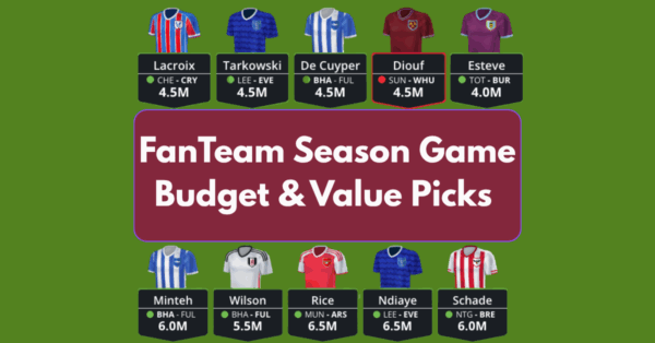 Budget/Value Picks for FanTeam EPL Fantasy Season Game